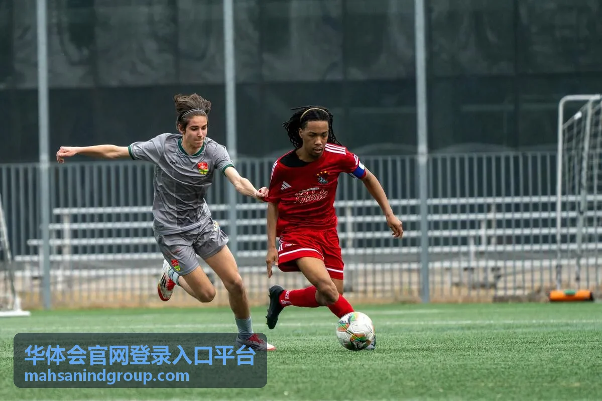 华体会官网登录入口平台登录入口与安全操作指引视觉背景