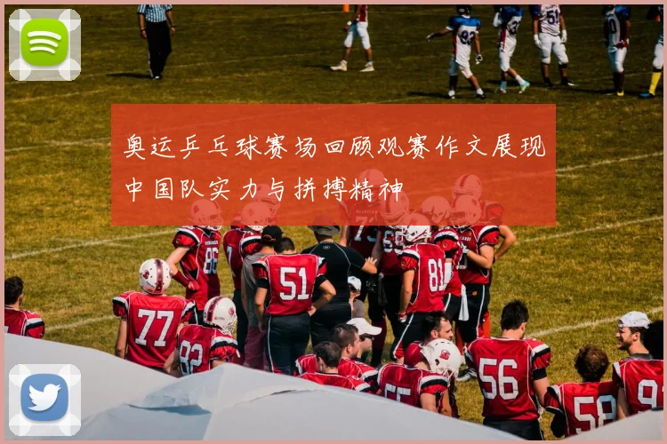 奥运乒乓球赛场回顾观赛作文展现中国队实力与拼搏精神
