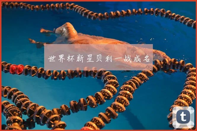 世界杯新星贝利一战成名