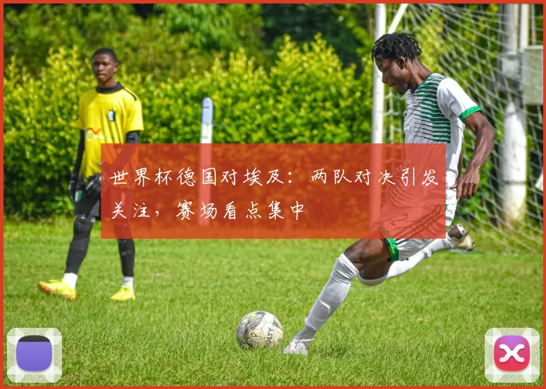 世界杯德国对埃及：两队对决引发关注，赛场看点集中