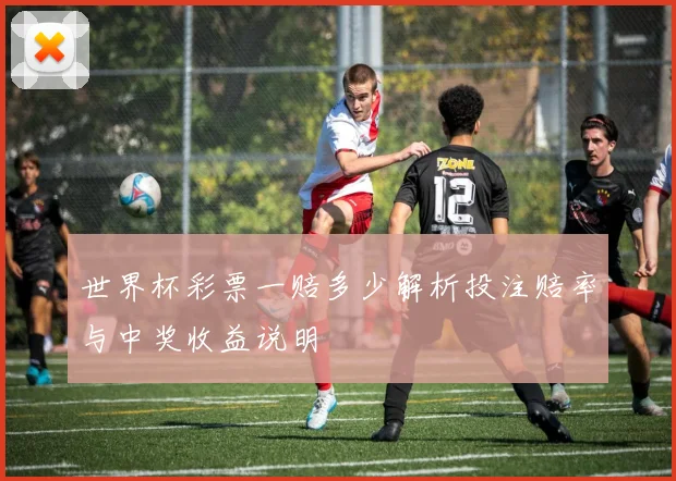 世界杯彩票一赔多少解析投注赔率与中奖收益说明